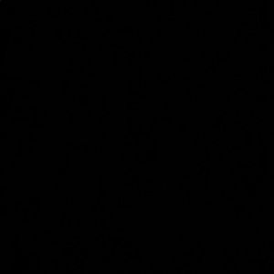 Meet your Posher, Ord